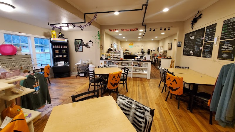 Coffee Cats Cafe