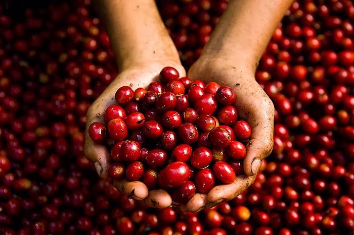 Topeca Coffee Roastery