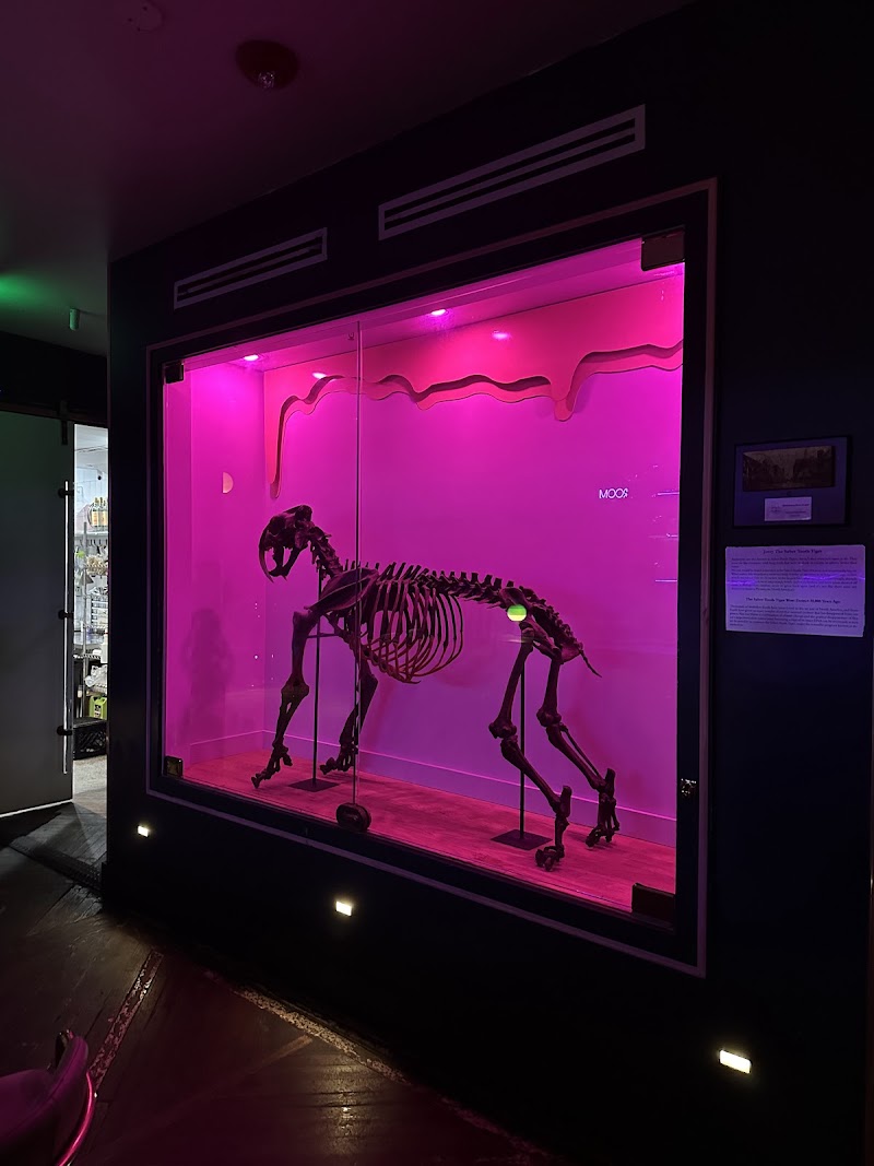 The Robinson Cocktail Room