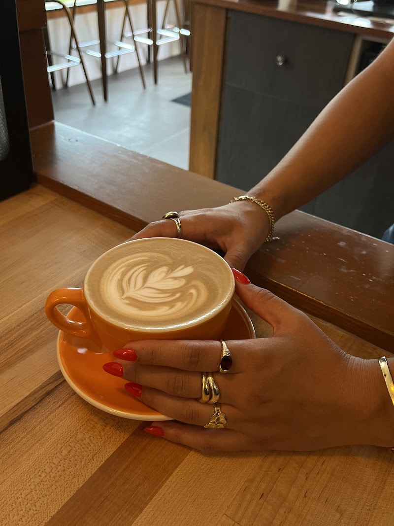 Vitruvius Coffee and Tea