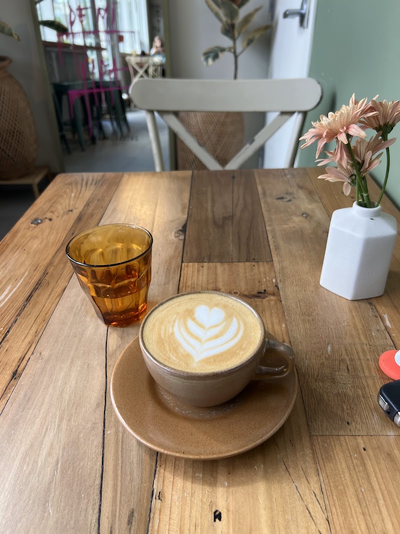 Magdalena Coffee & Houseplants