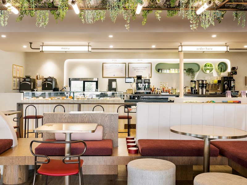 Sunday Press | Garden Oaks