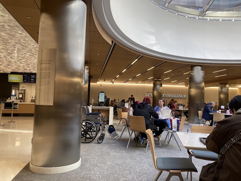 Skylight Commons Mayo Clinic