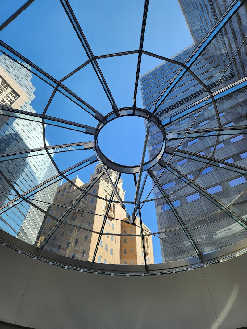 Skylight Commons Mayo Clinic