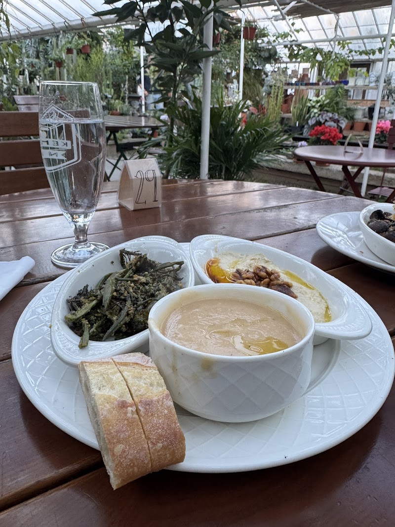 Kentucky Native Café