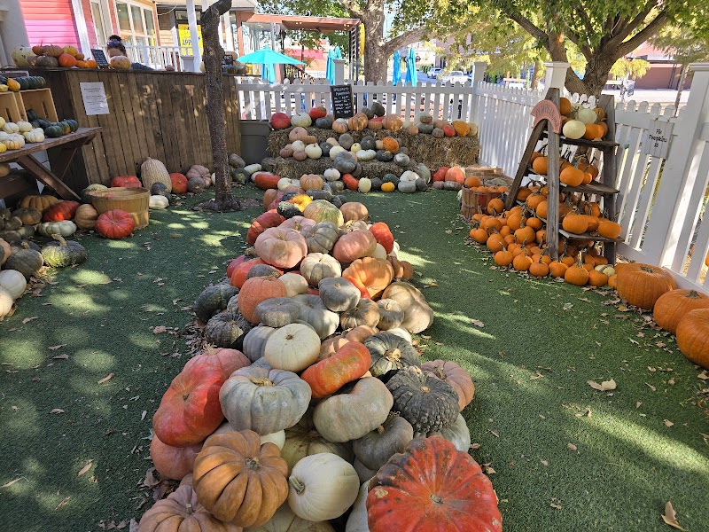 Katiebug's Sips & Sweets