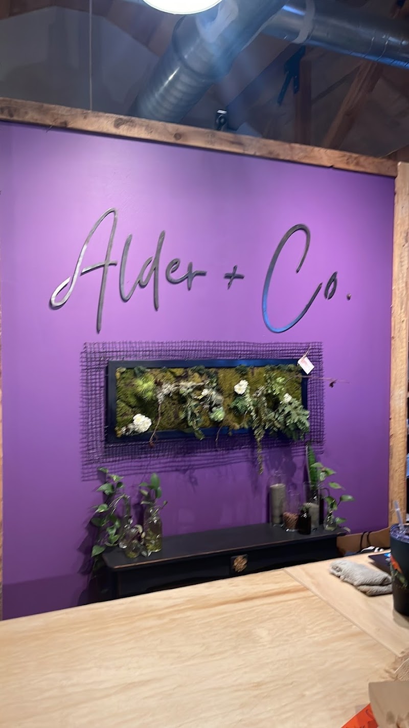 Alder + Co. / Wild Pines Coffee Co.