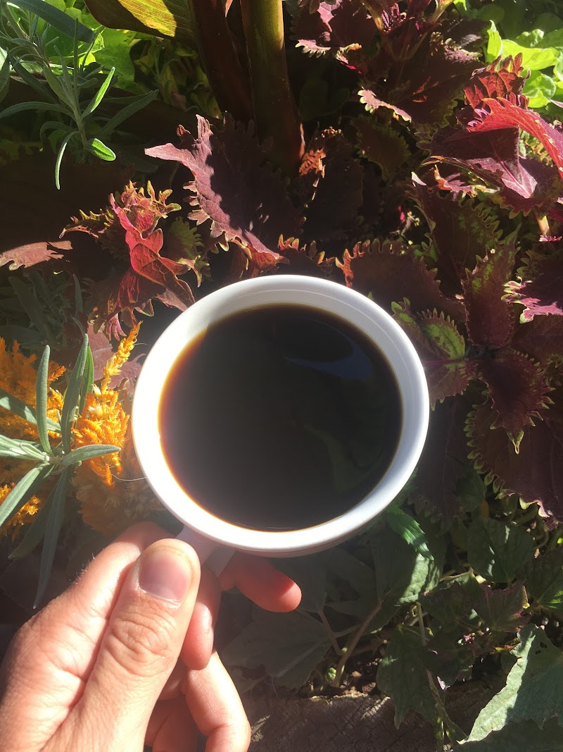 Coal Creek Coffee Downtown