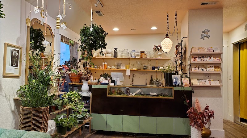 Kismet Coffee & Bloom