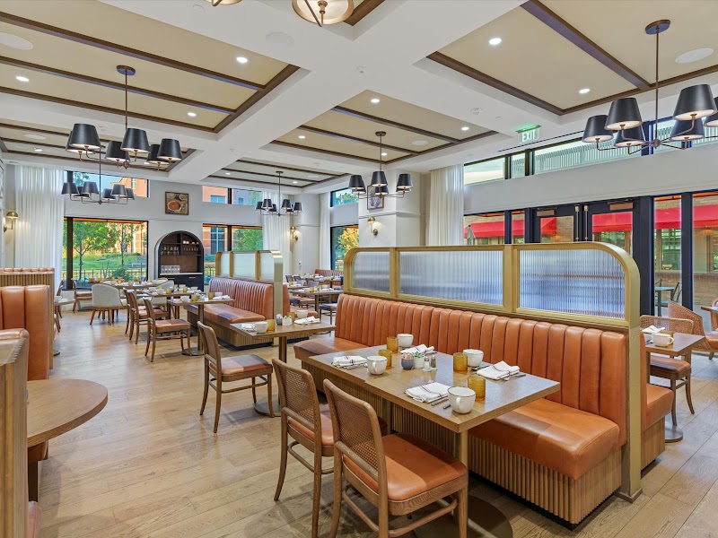 The Common Good - Aurora