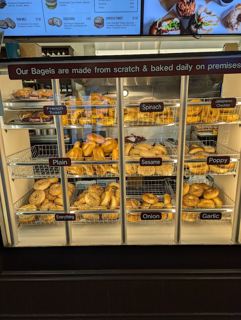 Bagel Cafe
