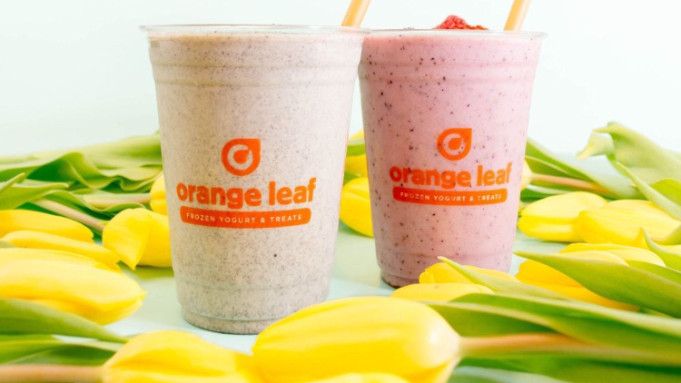 Orange Leaf Frozen Yogurt