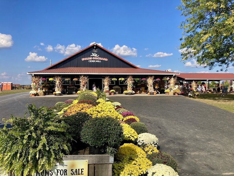 Evans Orchard and Cider Mill