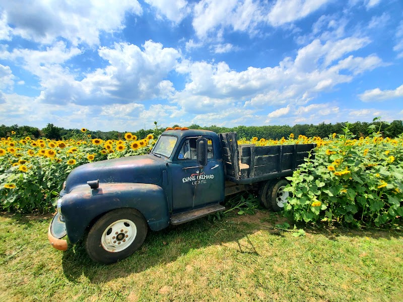 Evans Orchard and Cider Mill