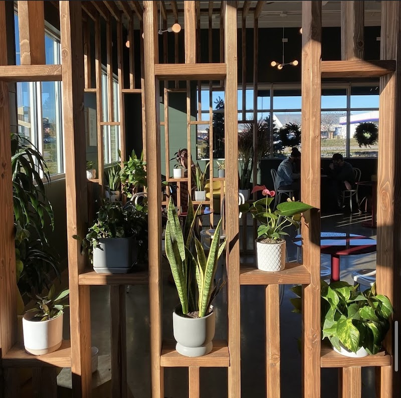 Morning Fog Bakery & Café