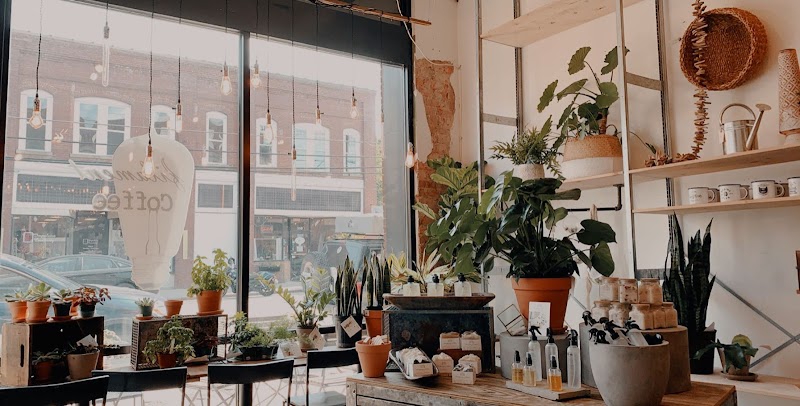 Filament Coffee + Tea