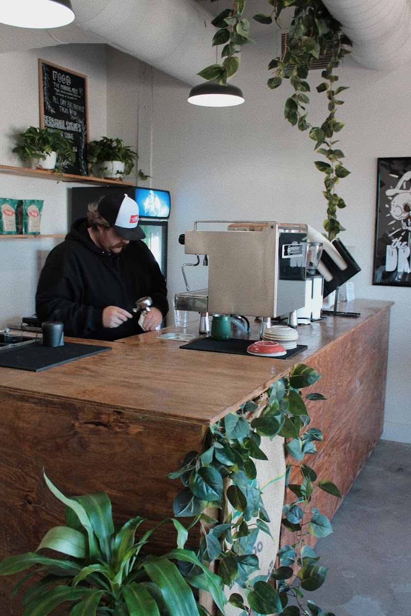 Ivy Coffee Roasters