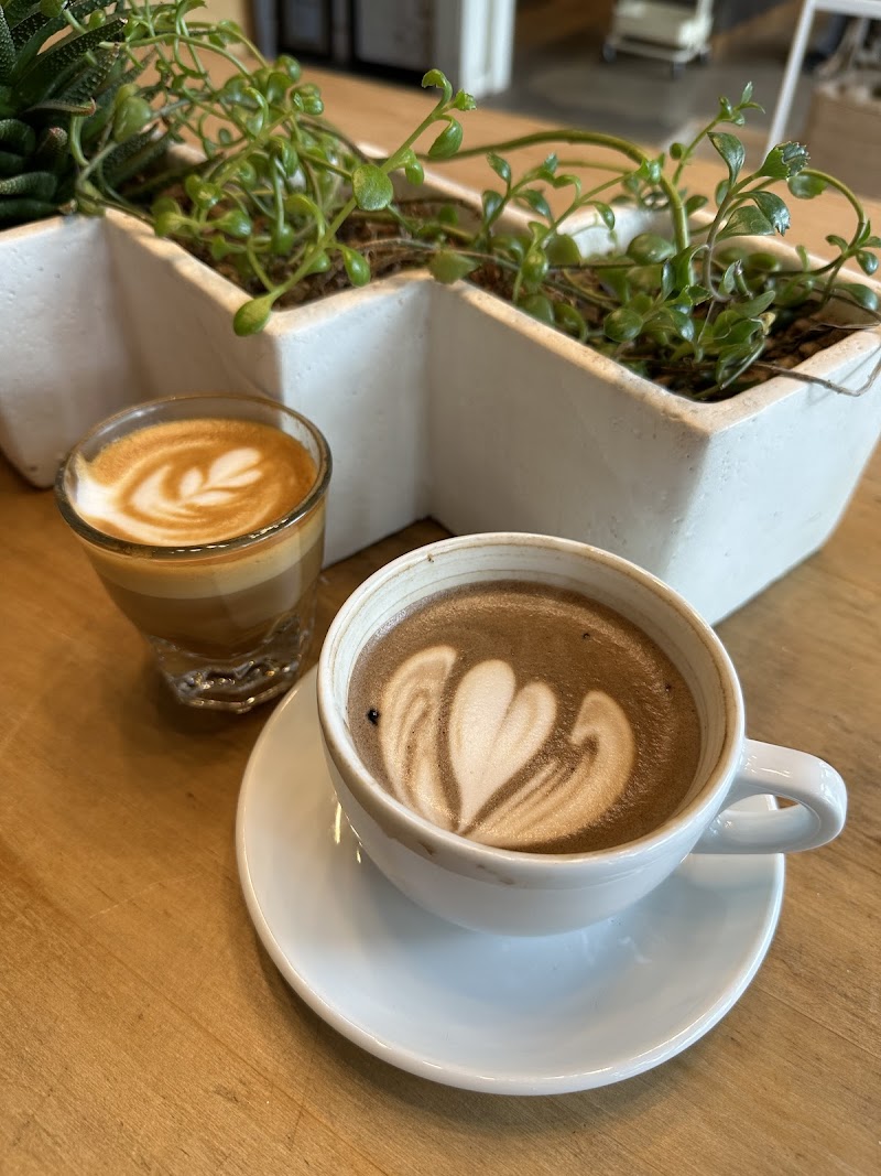 Noble Coyote Coffee Roasters