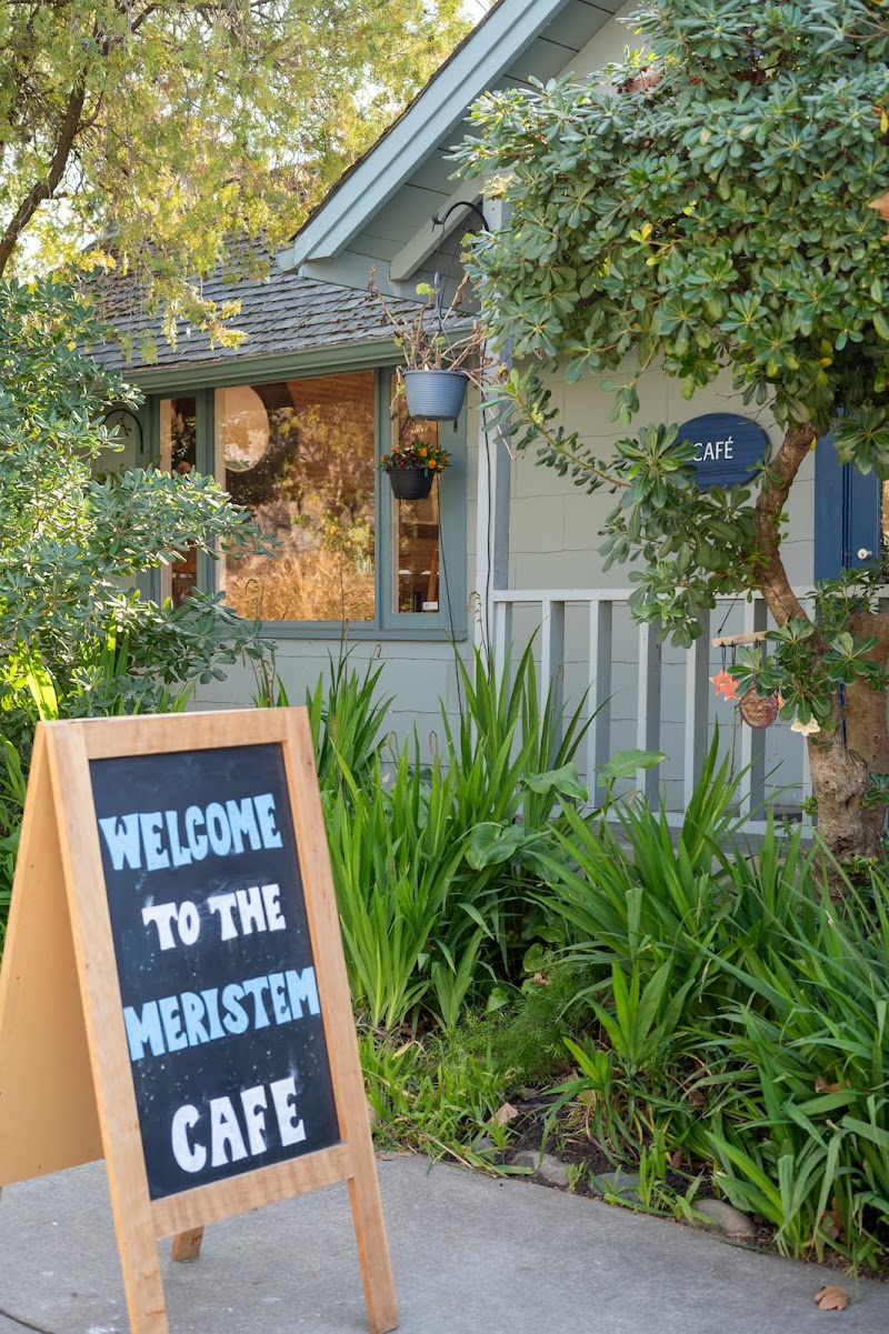 Meristem Cafe
