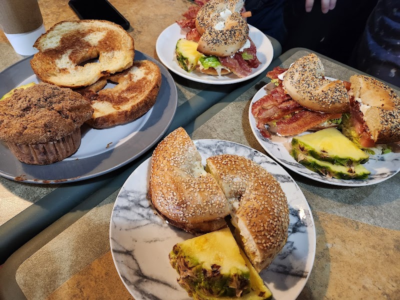 Professor Java's Coffee Sanctuary