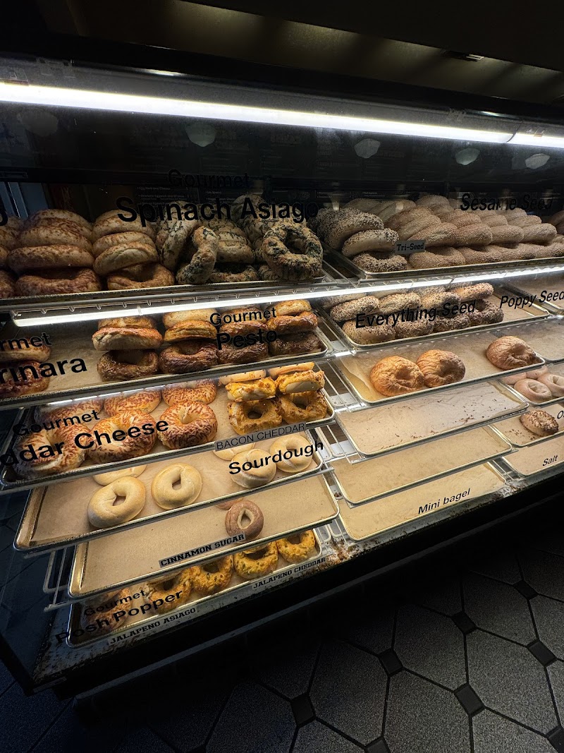The Posh Bagel