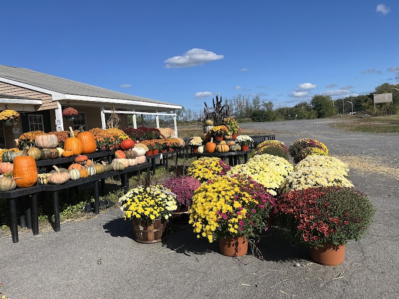 George's Market and Cafe