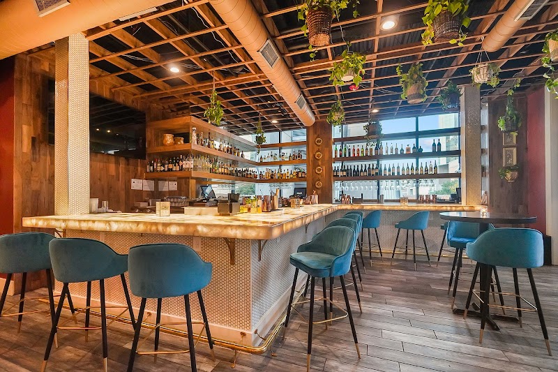 Dahlia’s Charlotte