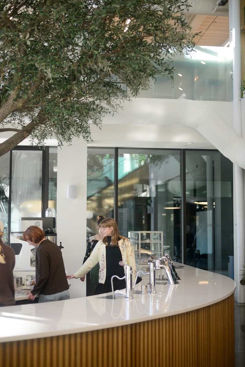 Airship Coffee at The Ledger