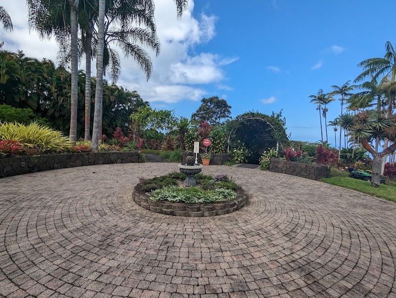 Mauka Meadows Coffee Farm