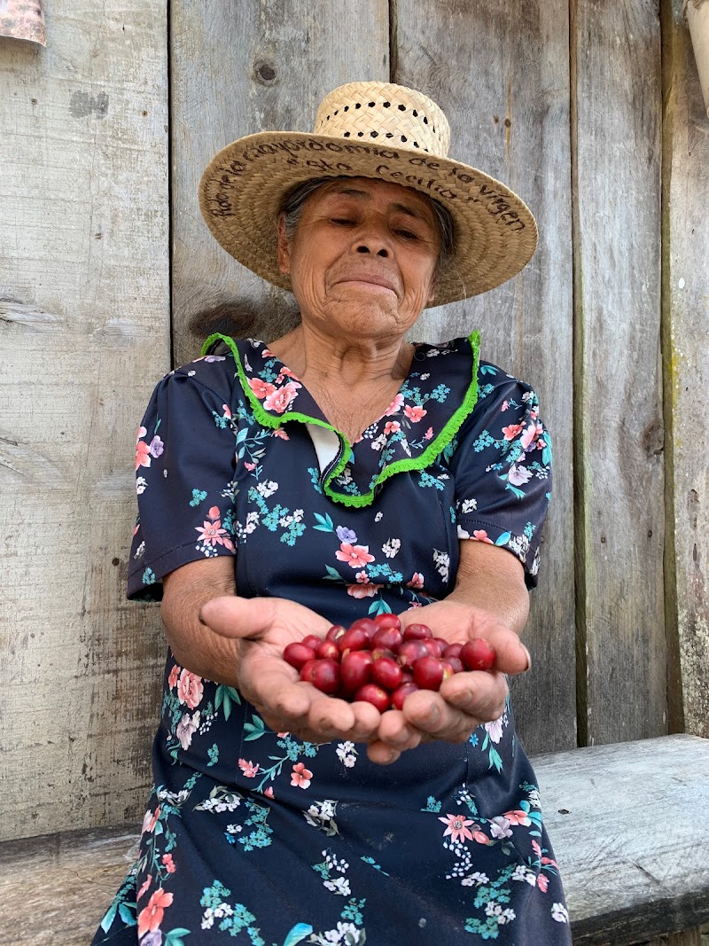 Casa Cafetzin Coffee Roasters