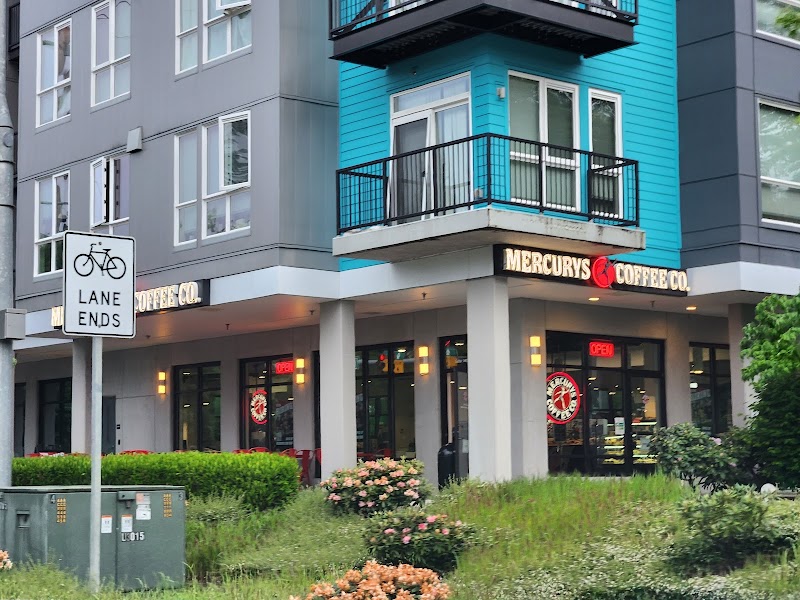 Mercurys Coffee Co. - Pure