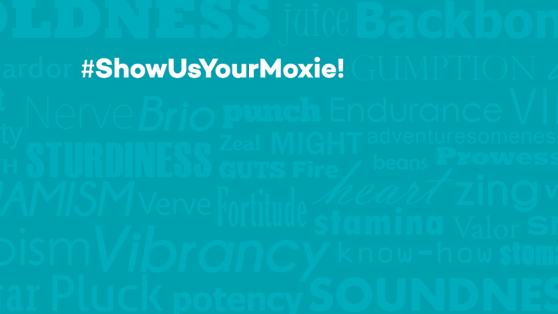 Moxie Java - Orchard Park