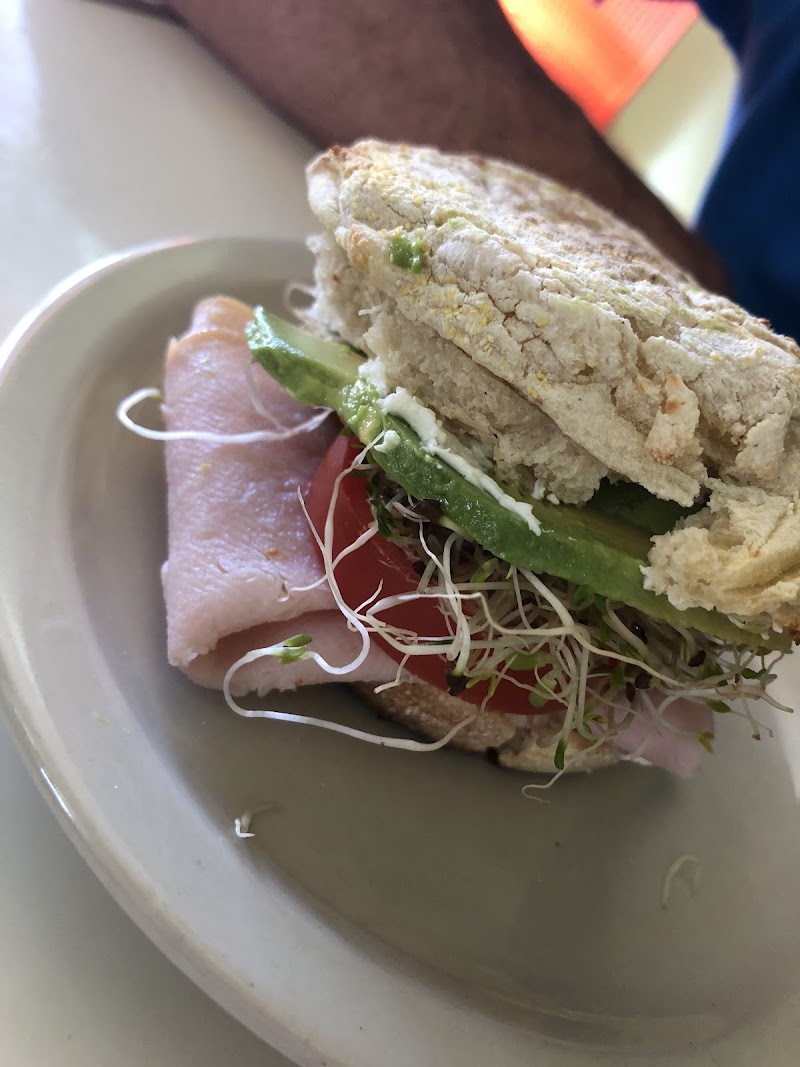 Bean Tree Coffee House (formerly the Spruce Tree)