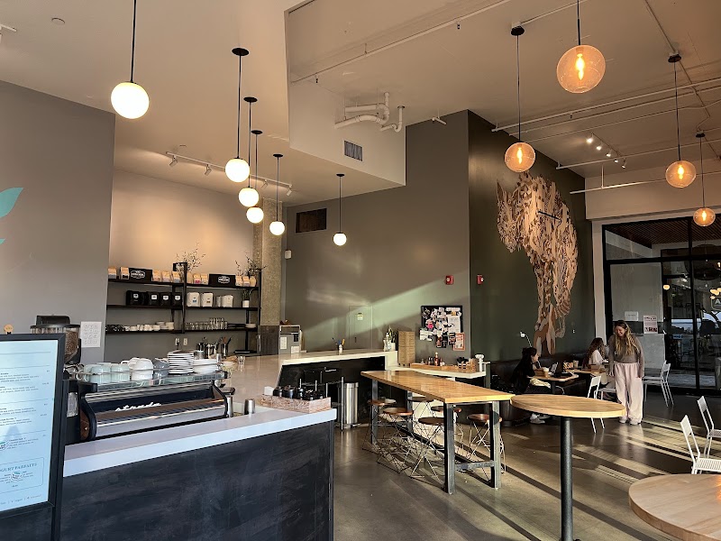 Copa Vida - San Marcos