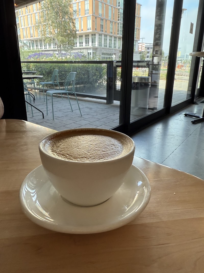 Copa Vida - San Marcos