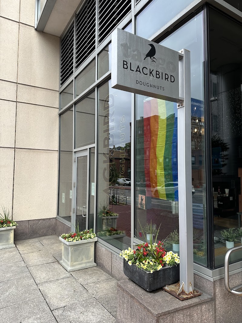 Blackbird Doughnuts Beacon Hill