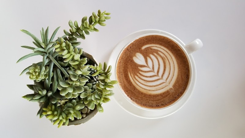 District Coffee House