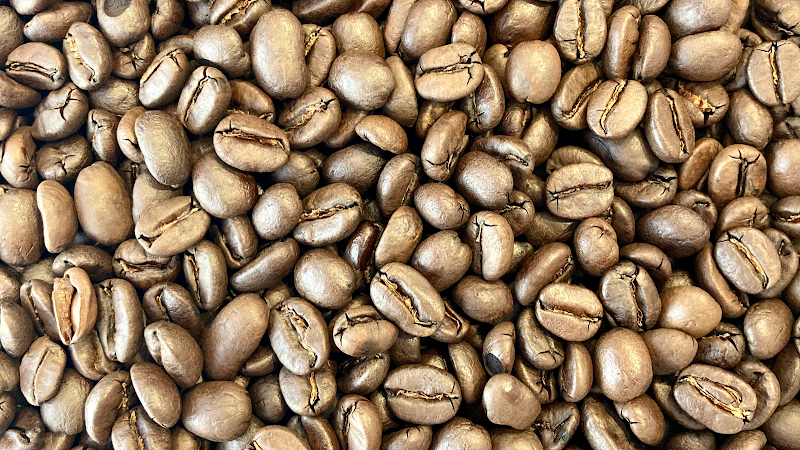 Cafe Typica small batch roasters