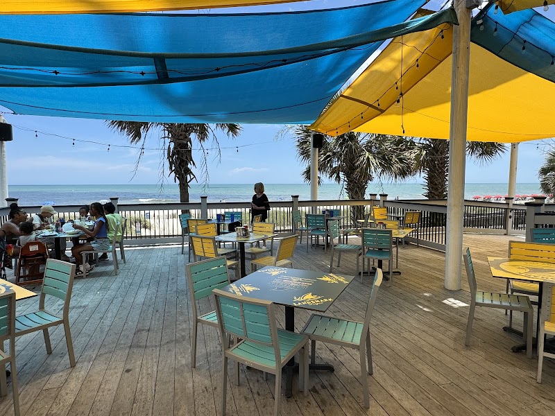 LandShark Bar & Grill - Myrtle Beach
