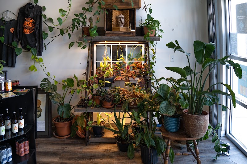 Hemp House THC Dispensary and Delivery I Uptown