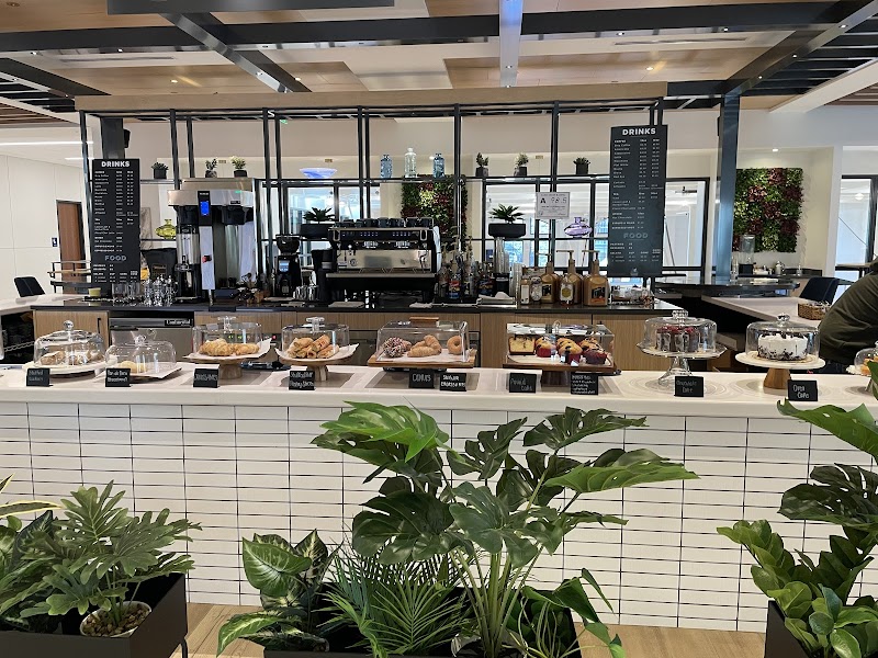 Higher Grounds by Manolo's