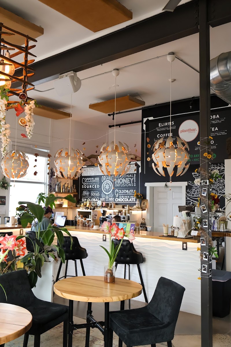 Plant Bar - Coffee and Tea