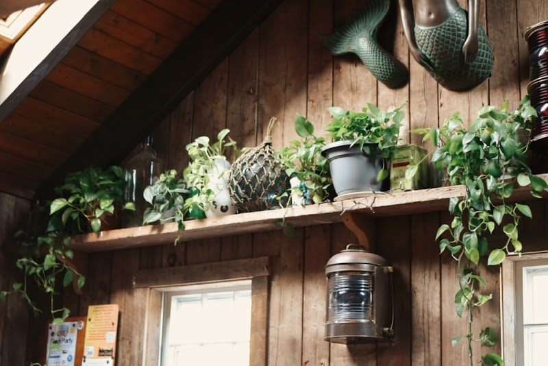 Daily Brew Coffee House & Lounge