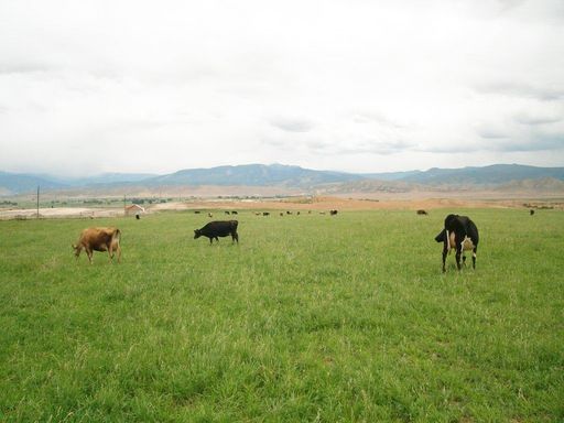 Redmond Heritage Farm Store