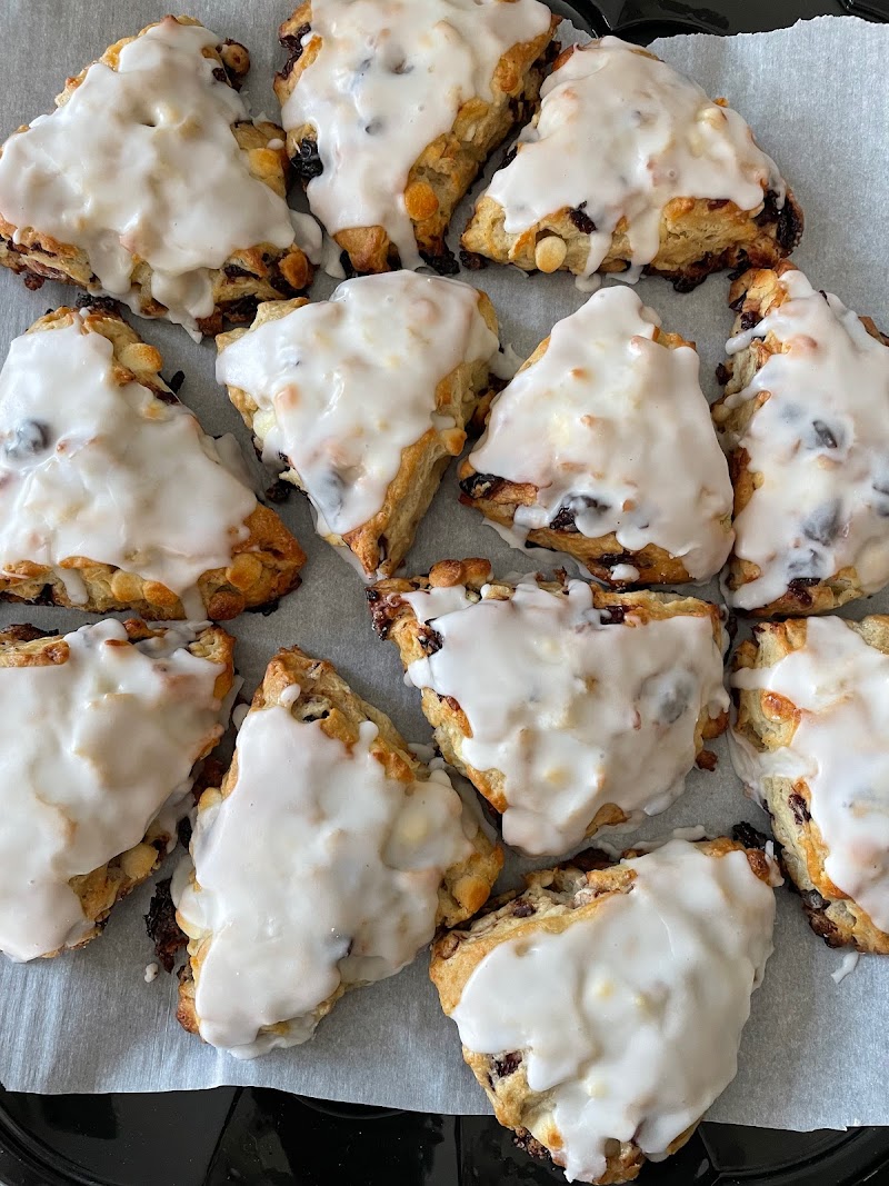 Luminary by La Terza