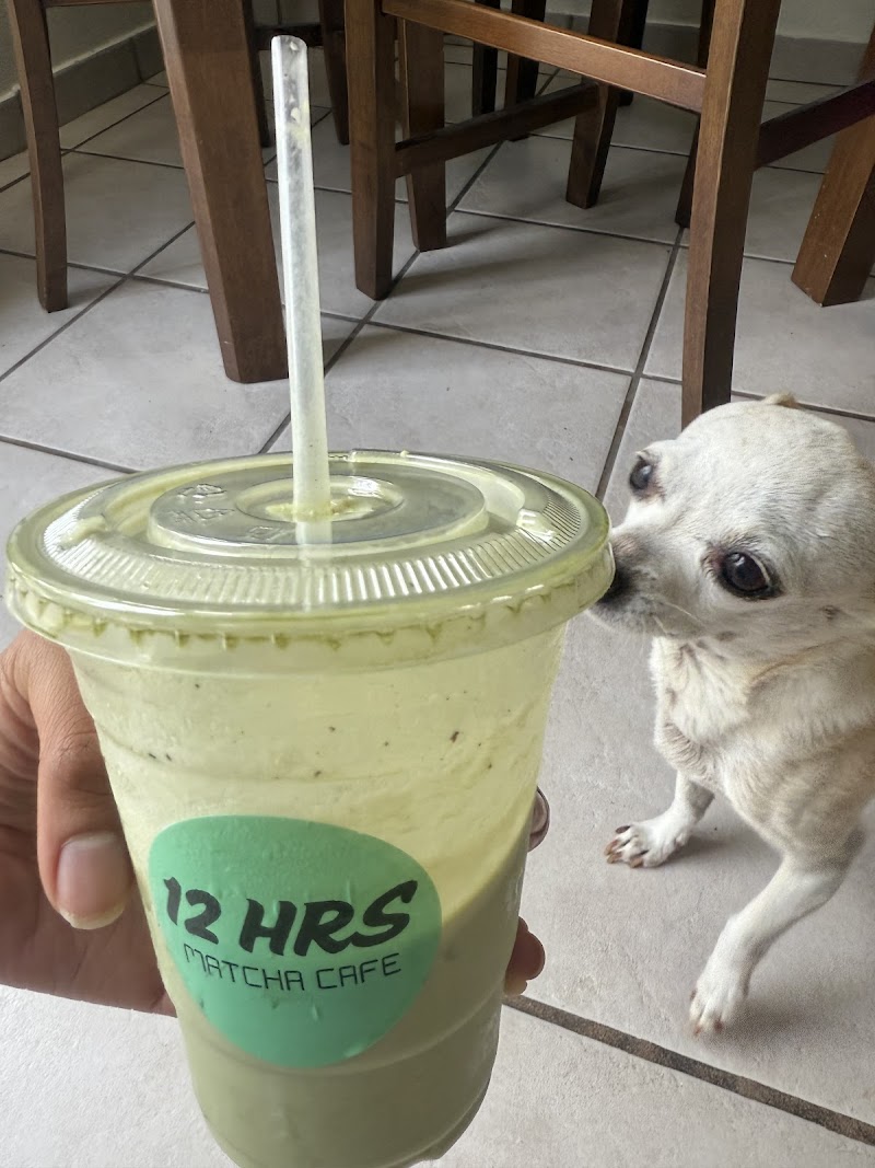 12 Hrs Matcha