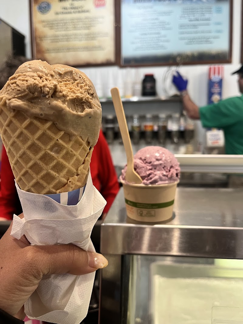 Moo's Gourmet Ice Cream