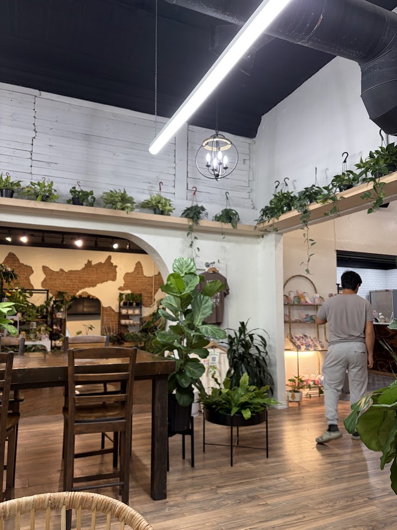 Habitat Plants + Coffee