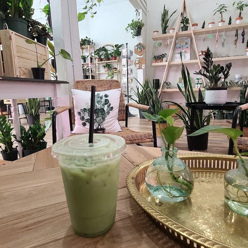 Habitat Plants + Coffee