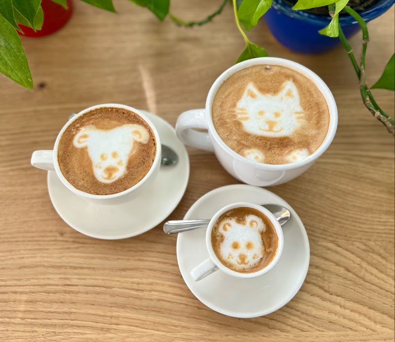 Café Crème - Oltorf